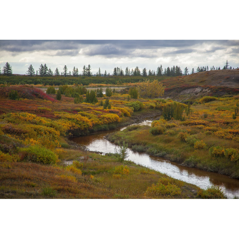 «Forest-Tundra» par Evgenii Mitroshin - photographie sur toile tendue, L 18 po x H 12 po