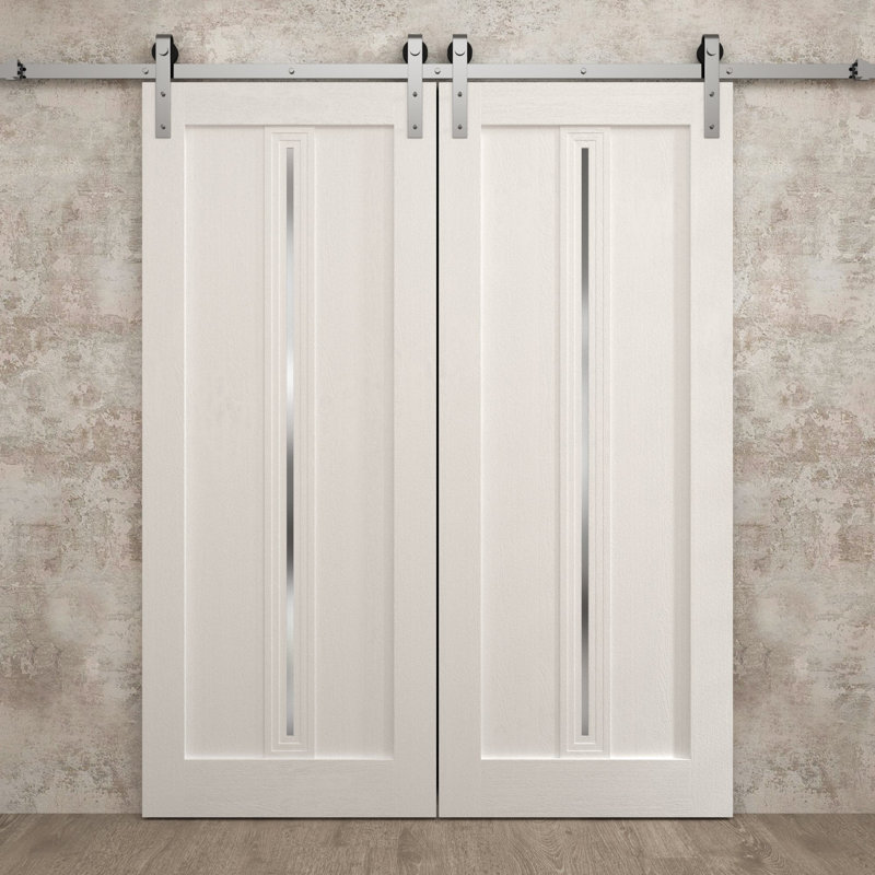 Porte de grange double moderne | Ego 5014 | Ensemble de rail argenté | Portes intérieures solides, 72 po x 96 po