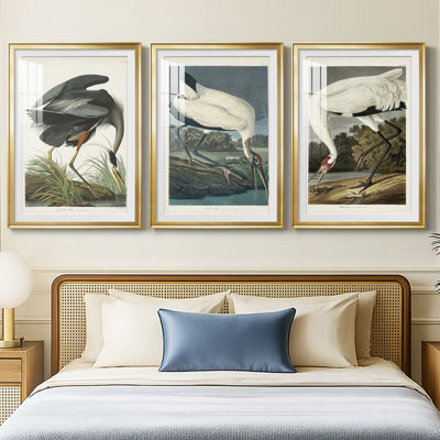 PL 210 Great Blue Heron - reproduction encadrée de qualité supérieure sur mesure mat - 3 pièces
