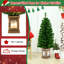 4 arbres de Noël
