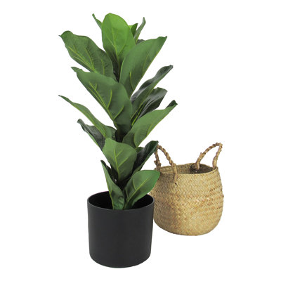 20" Artificial Fiddle Leaf Fig Tree in Basket