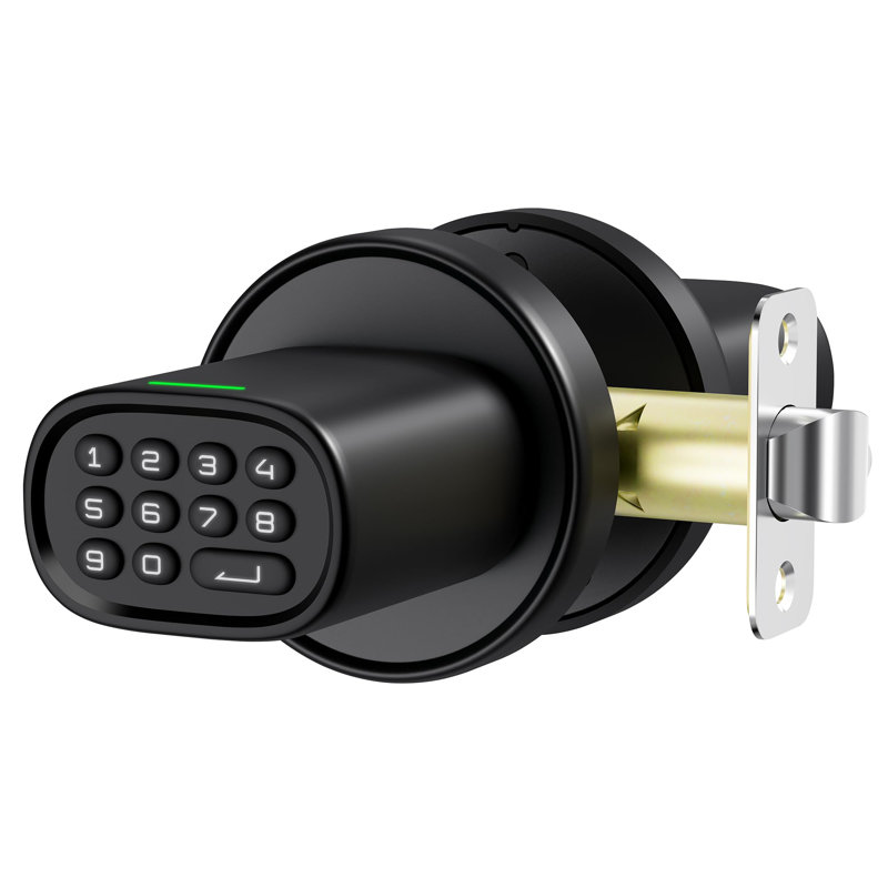 Black Keyless Entry Door Knob with Keypad and Zinc Alloy