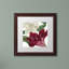 «Christmas Amaryllis II» par Jadaya, impression encadrée-20093673-20093674
