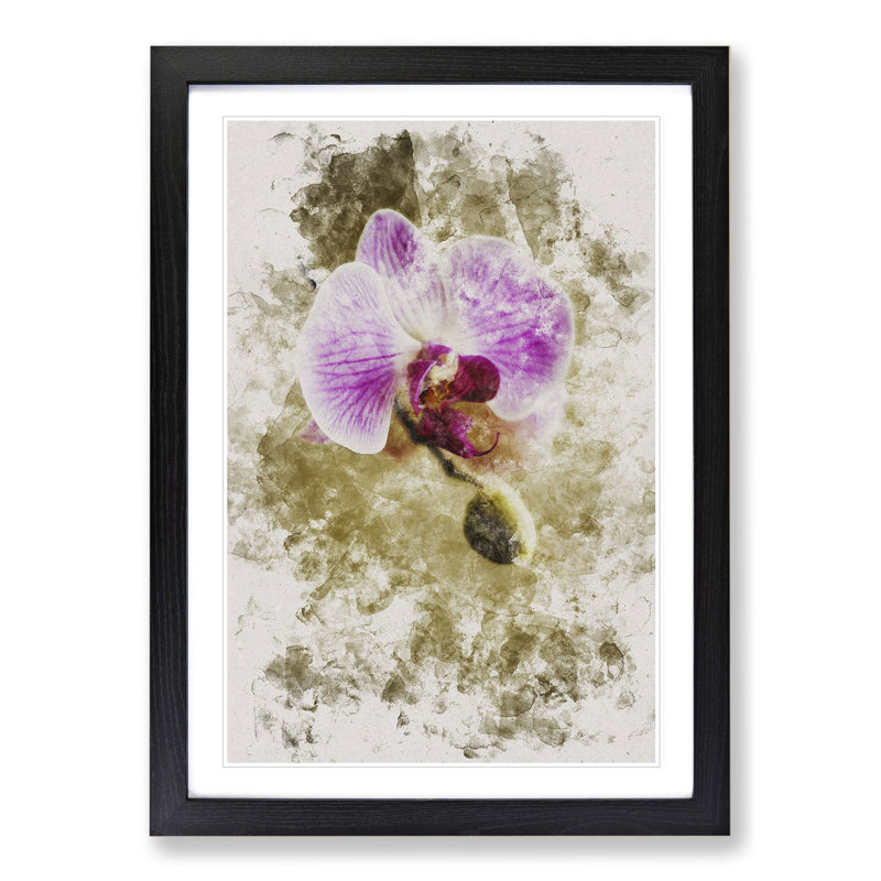 Orchid Flowers Vol.6 - Picture Frame Painting, Black Framed, 48cm H x 36cm W x 2cm D