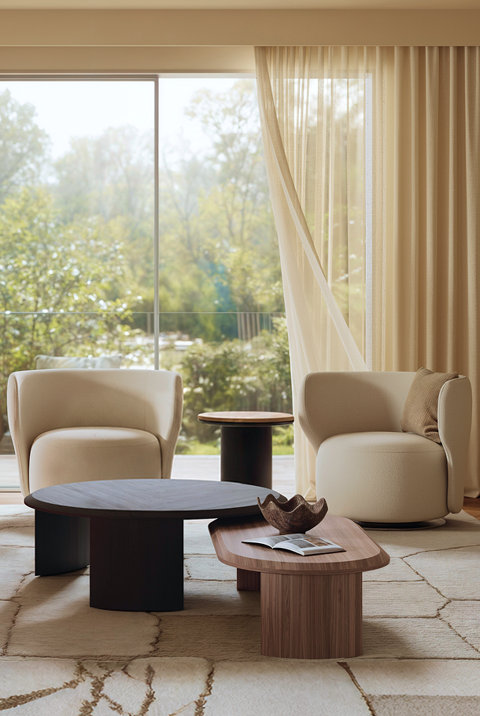 Accent Chairs