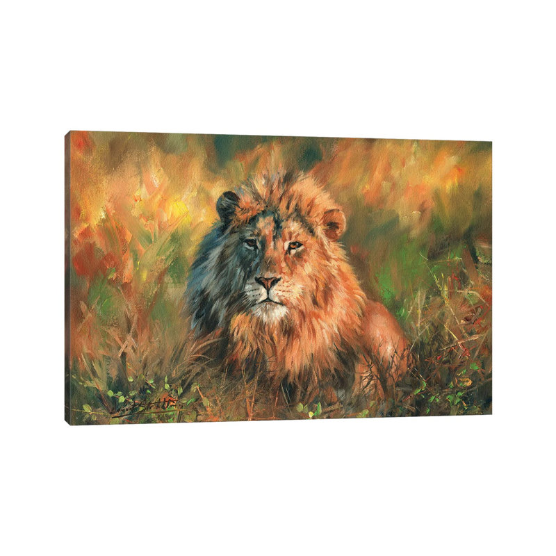 Lion At Sunset by David Stribbling - Wrapped Canvas Painting, 66.04 cm H x 45.72 cm W x 1.91 cm D