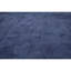 Floral Area Rug in Blue
