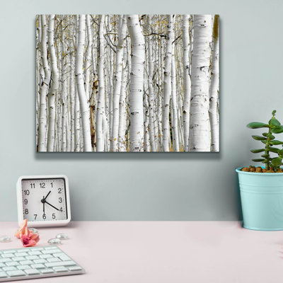 " Birch Wood " by PhotoINC Studio