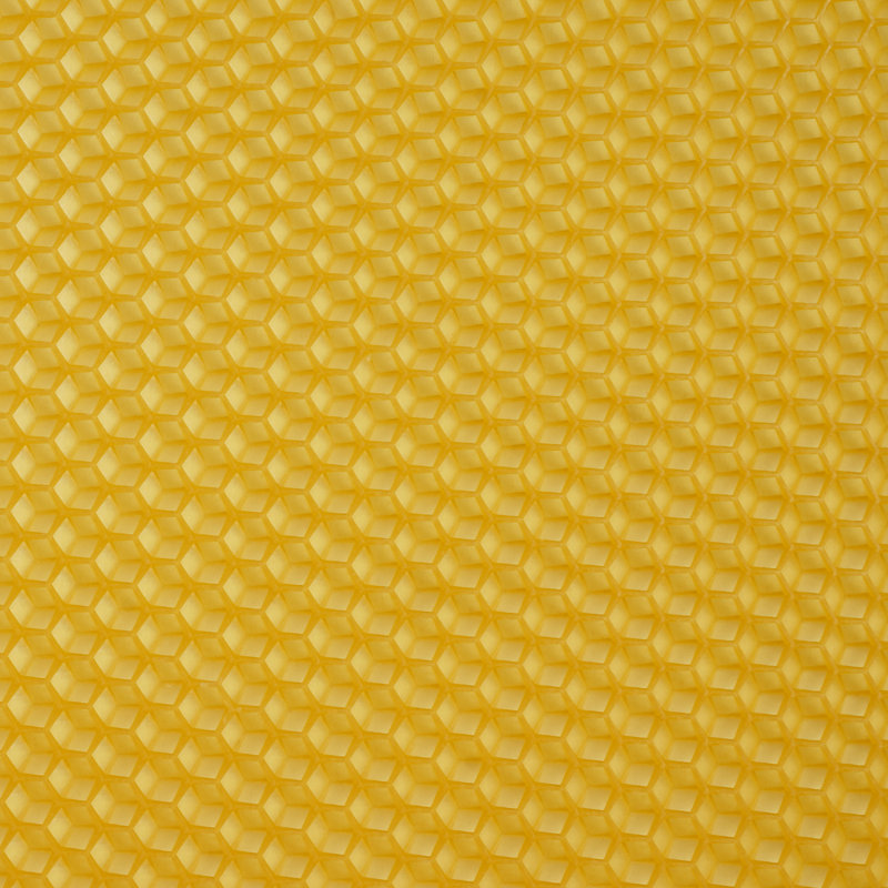 30 pièces Honeycomb Foundation Beewax Honey Bee Hive