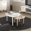 Aerith Three Leg Coffee Table with Storage