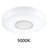 Acrylic LED Flush Mount