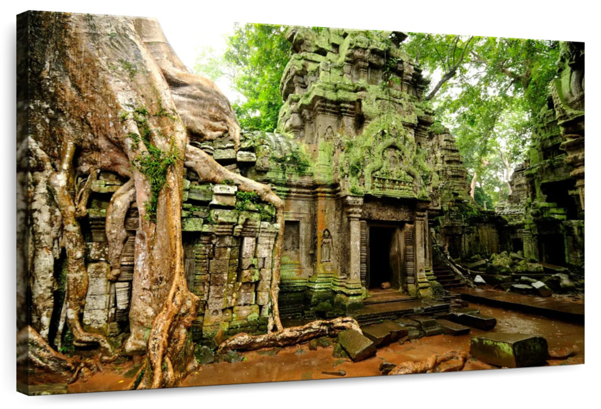 Dakota Fields Adella Ta Prohm Temple | Wayfair