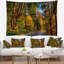 Paysage, route à travers une tapisserie de forêt d'automne éclairée-28491659