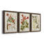«Vintage Flowering Trees V», ensemble de 3 cadres photo sur toile-323789574-323789573