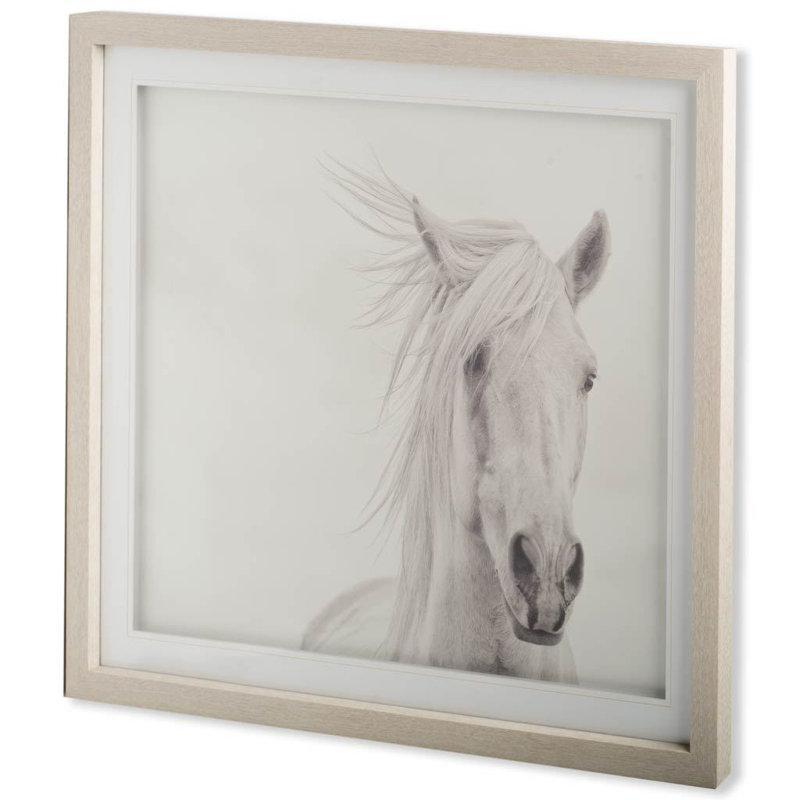 «Custom Wind Blown Mane I (MC)» par PHBurchett, reproduction d'art encadrée sous verre