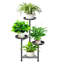 Plant Stand - Set of 4
