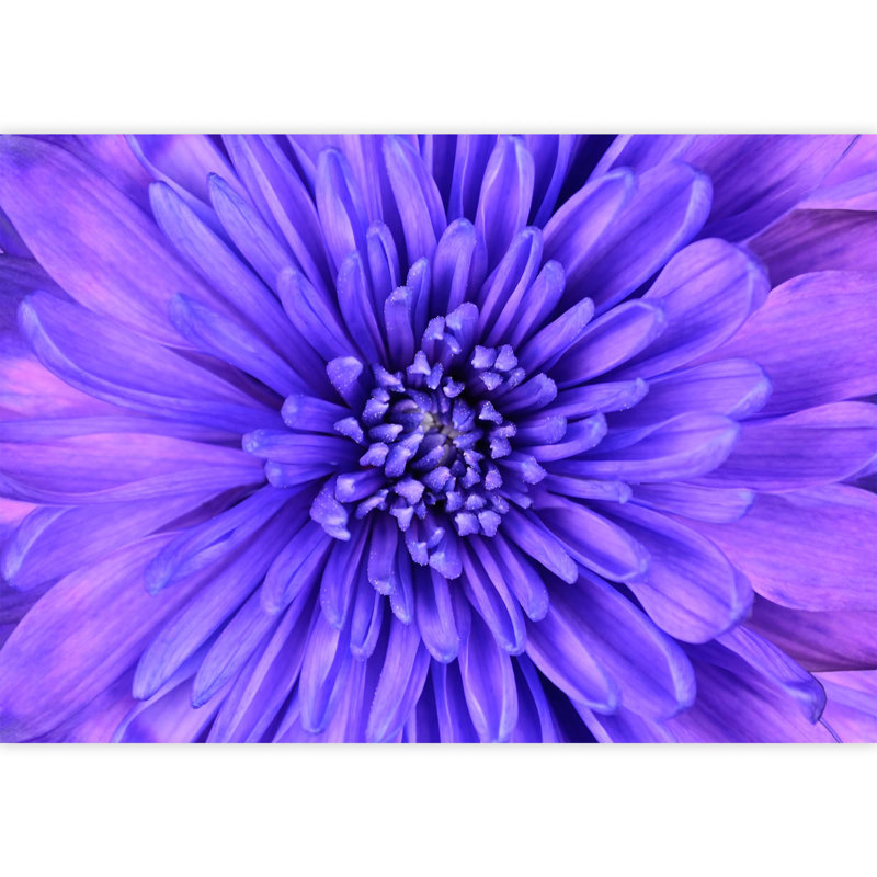 Murale florale, L 100 po x l 144 po