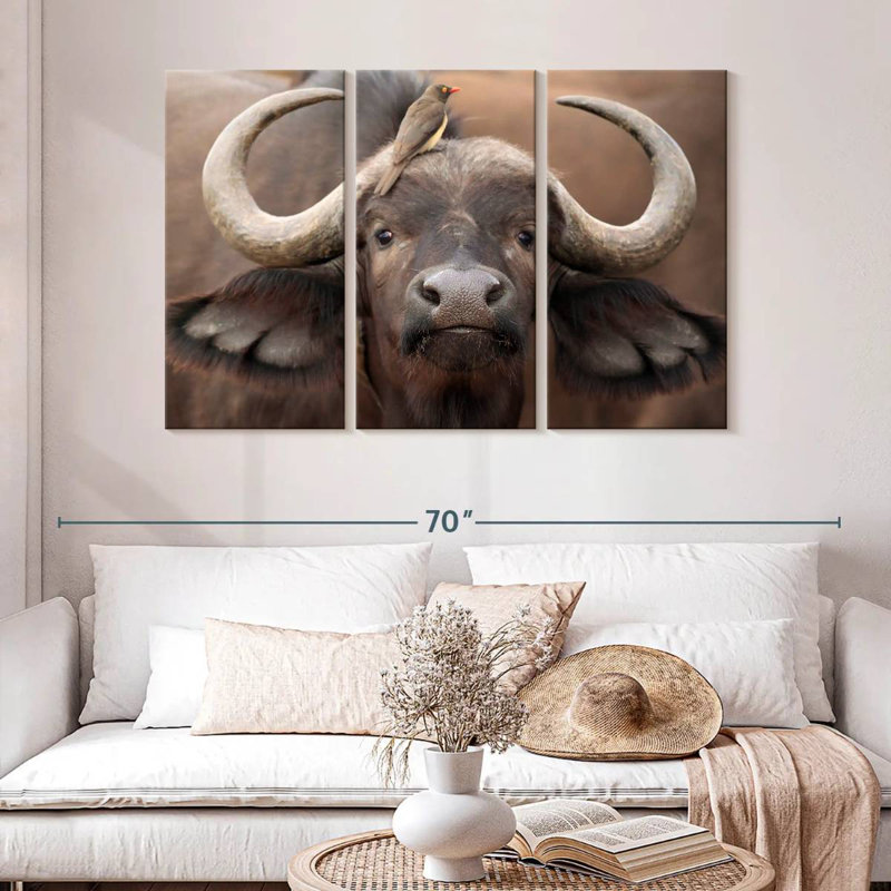 Buffalo And Oxpecker