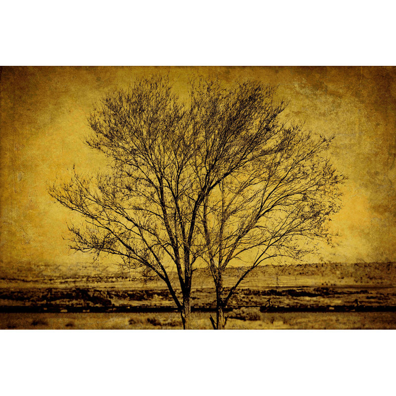 Entwined Tree - Wrapped Canvas Print, 61cm H x 91cm W x 3.81cm D