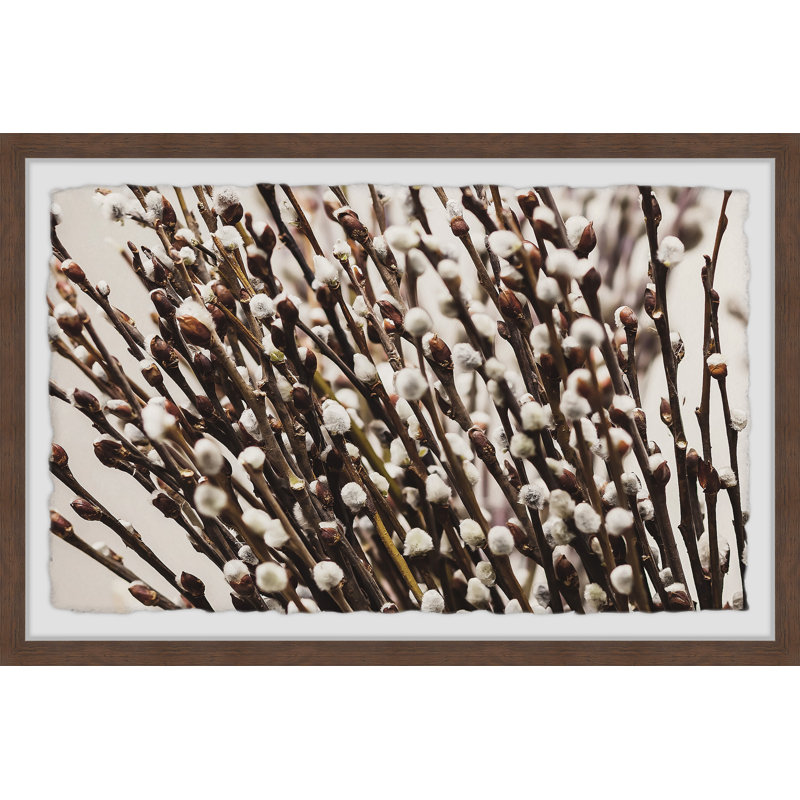 Cotton Flowers - Single Picture Frame Painting, 38 cm H x 45 cm W