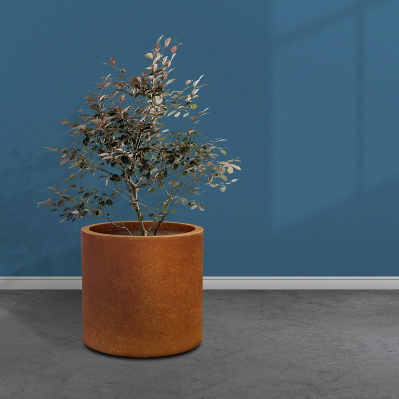 Gethsemane Handmade Pot Planter, Iron Oxide, 13" H x 13" W x 13" D