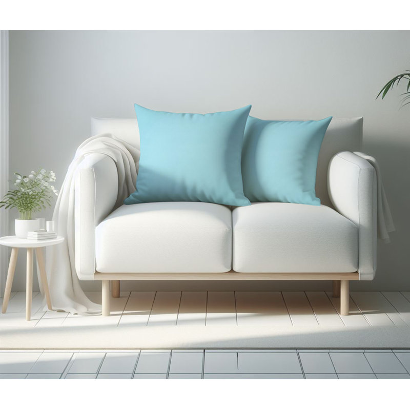 A1HC Set of 2 Soft Velvet Hypoallergenic Throw Pillow Covers with Hidden Zipper, Light Blue, 18"H x 18"W