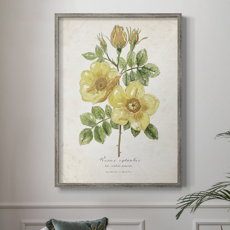 «Botanical IV», reproduction encadrée - bois massif, H 11 po x l 9 po