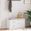 Bepler Shoe Storage Cabinet-403391325