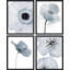 Gros plan duo de fleurs de magnolia bleu pastel - ensemble de 4 reproductions de cadres photo simples-97762587-97762588