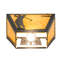 1 - Light Flush Mounted Sconce