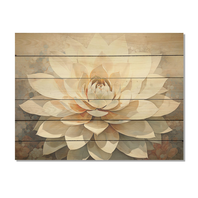 Beige plante grasse moelleuse - art sur bois de pin naturel, H 30 po x l 40 po