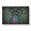Mesmerising Pink And Green Peacock - Wrapped Canvas-55311219