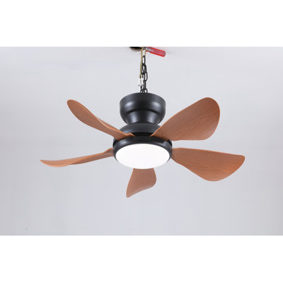 Fan Light