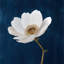 Branche crochue - reproduction florale beige encadrée | Décoration-145236073-145236075