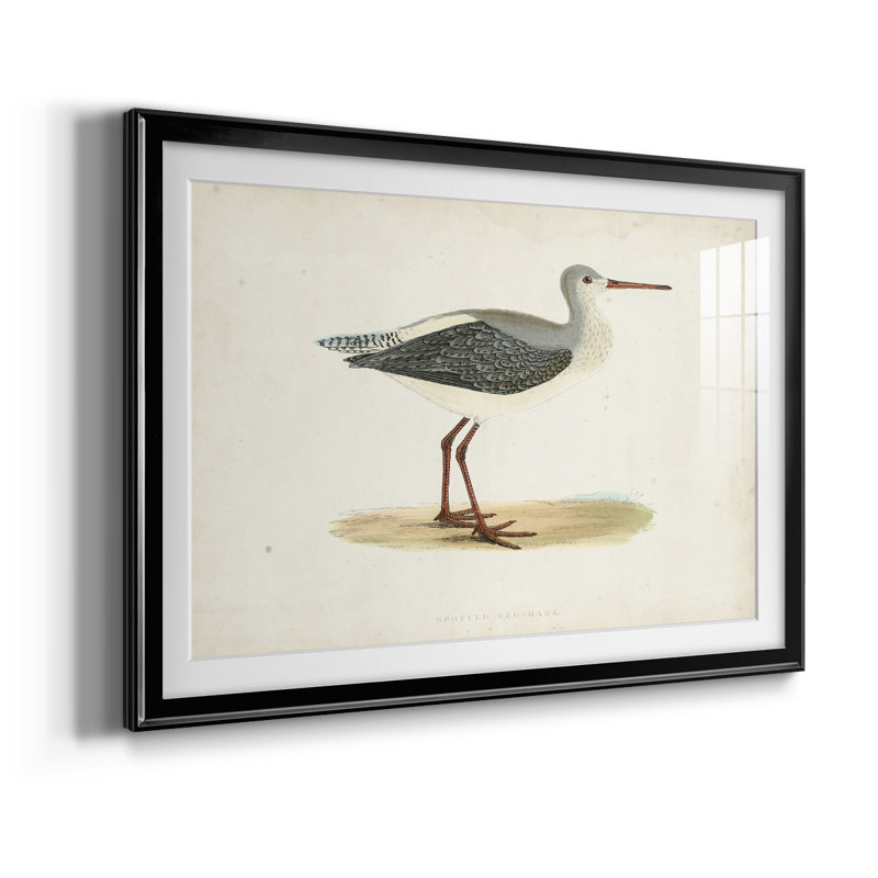 Morris Sandpipers I - reproduction de cadre photo, L 42,5 po x H 30,5 po, Noir