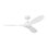 Smart Outdoor Ceiling Fan