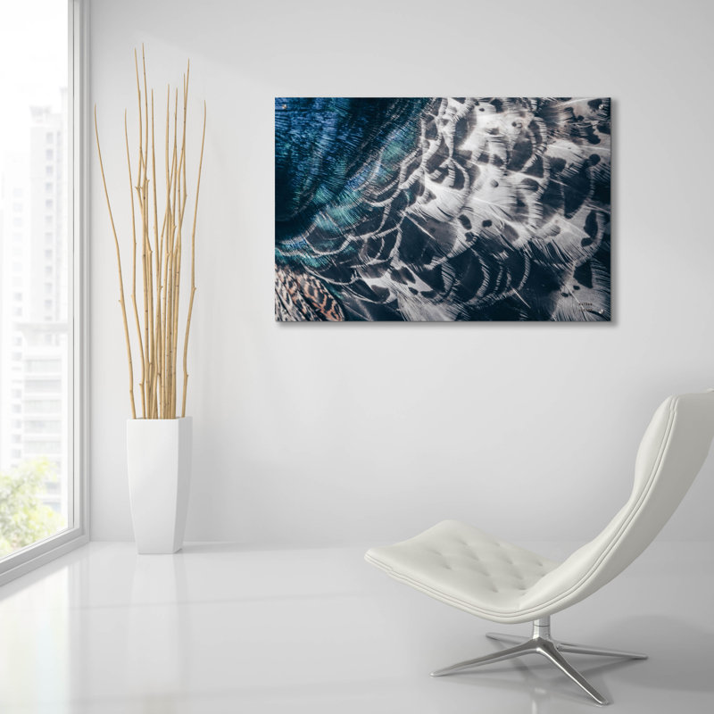 Art mural en verre Wrought Studio ™ «Peacock Study 1 Horizontal» par Nathan Larson, H 12 po x l 16 po x P 0,13 po
