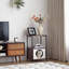 Table d'appoint cachée 2 en 1 pour chat