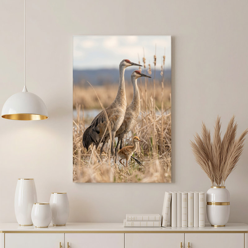 «Sandhill Cranes and Chick in Tall Marsh Grass Field», art mural sur toile, H 24 po x l 16 po