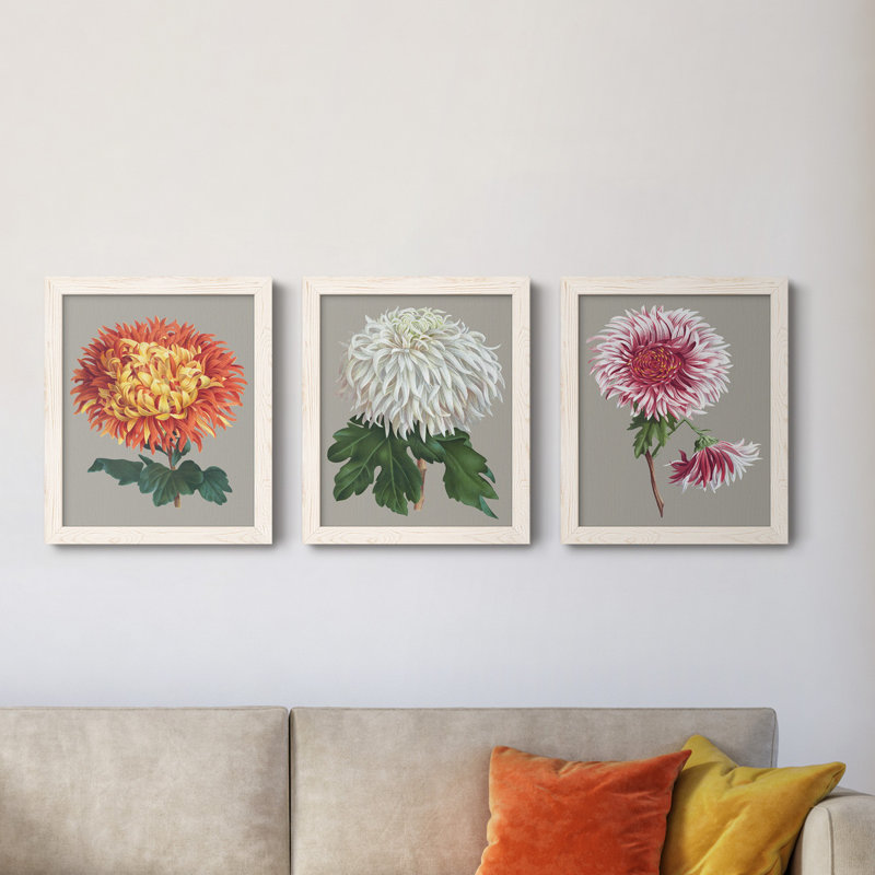 Chrysanthemum On Grey I - Ensemble de 3 peintures sur toile encadrées, Blanc, H 20 po x l 51 po x P 1,5 po