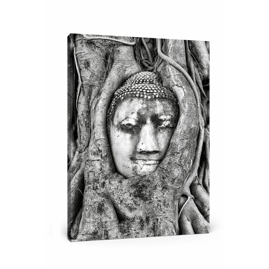 Leinwandbild Buddha Kopf im Baum