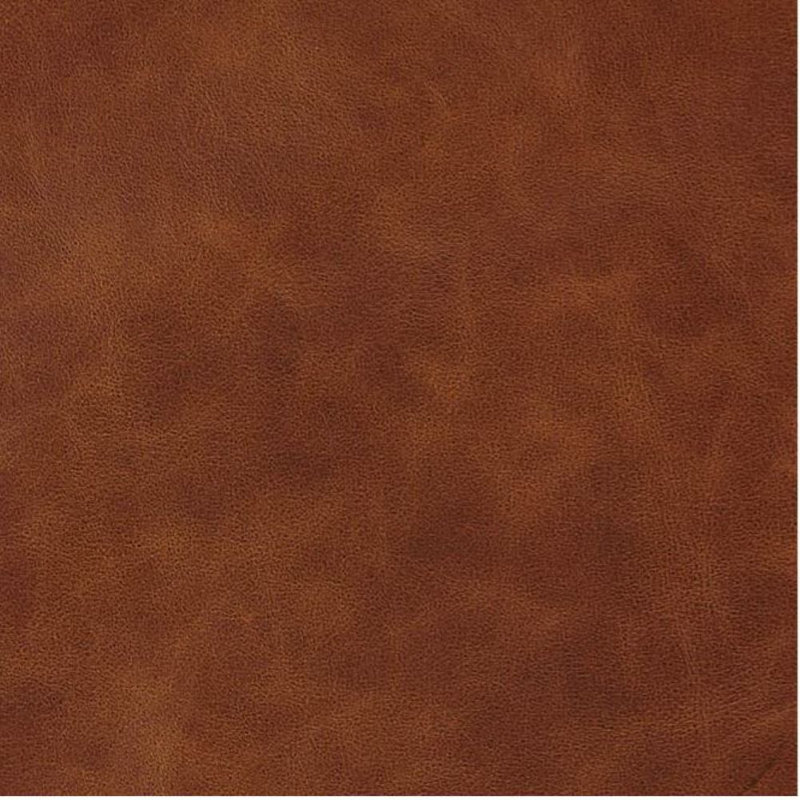 Viveros Lowell Top Grain Leather Sofa