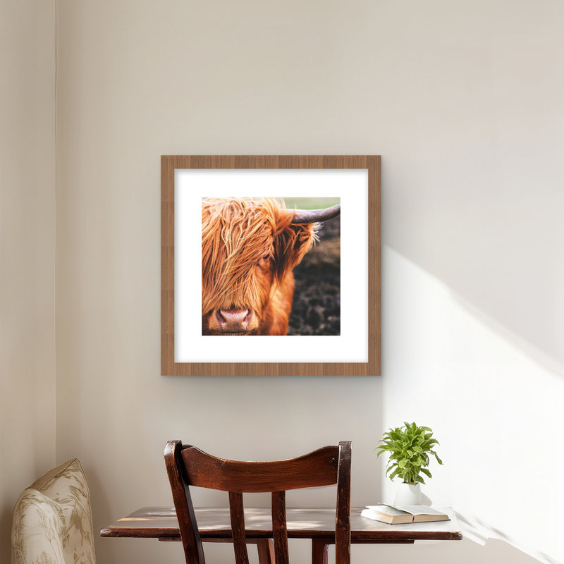 Portrait d'une vache des Highlands - animaux orange, reproduction encadrée
