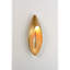 1 - Light Armed Sconce