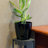 Bamboo Blooms Self-Watering 2-Piece Planter Set – 10 inch Round-1177649515