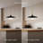 1-Light Metal Adjustable Pendant Light with Etched Inner Glass Shade