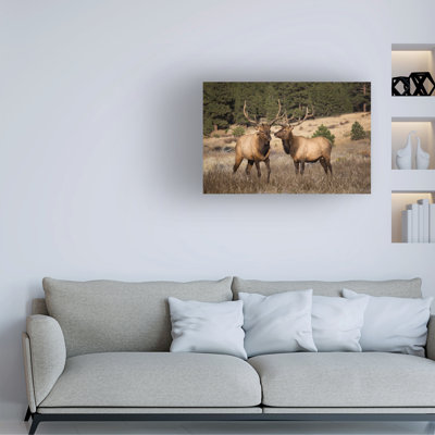 «Two Elks II» sur toile