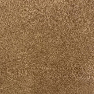 Fardows 61'' Upholstered Loveseat