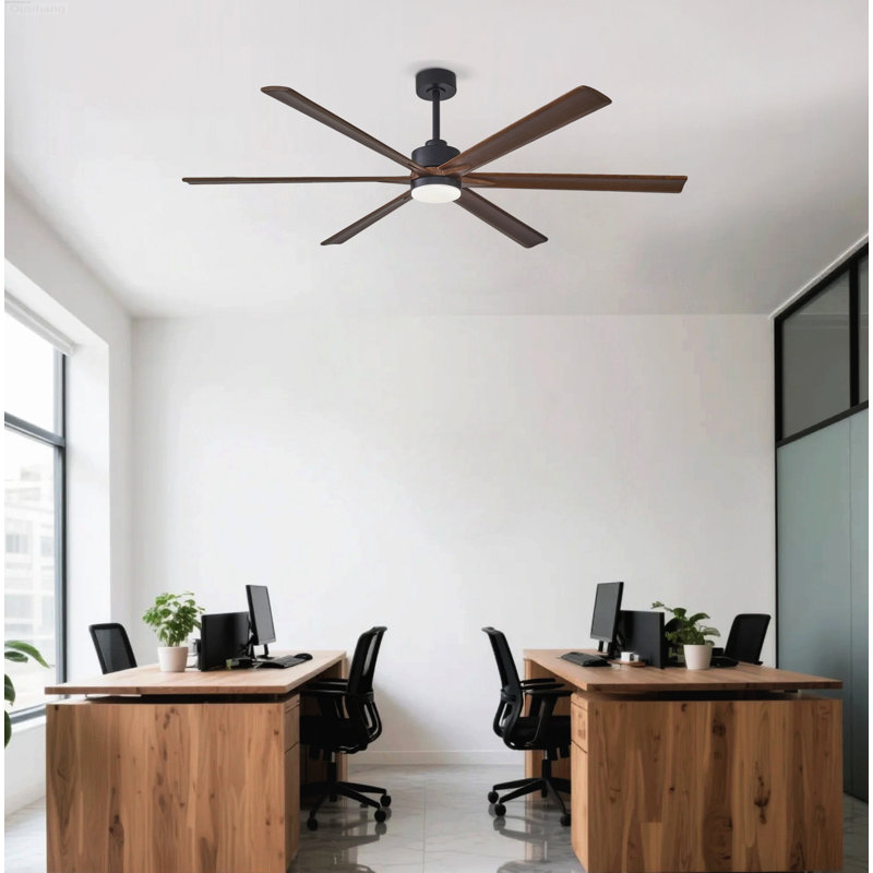Ventilateur de plafond 70 po, Walnut