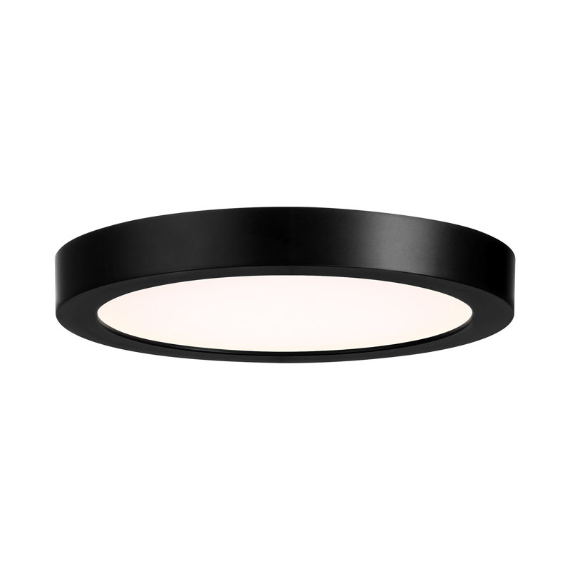 Black Metal and Glass LED Flush Mount Light